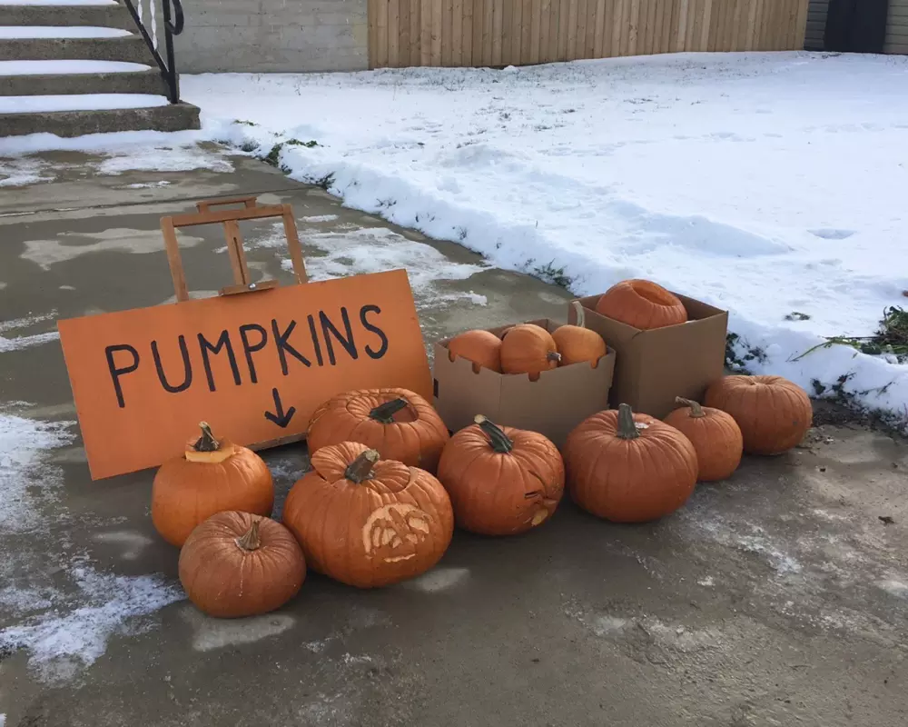 Halloween Pumpkin Pickup