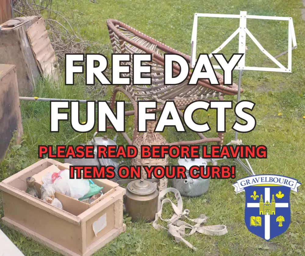 Free Day Fun Facts