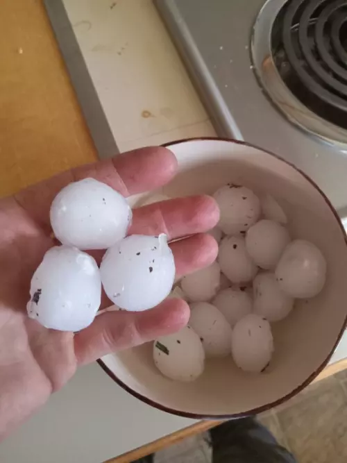 Request for Information - June 23, 2024 Hail and Wind Storm in Gravelbourg